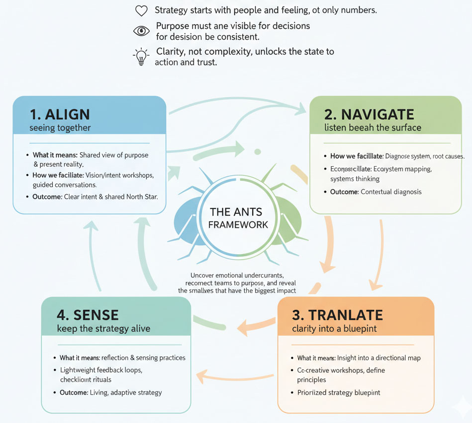 The ANTS Framework Human-Centered Strategy for Clarity and Connection The ANTS Framework Human-Centered Strategy for Clarity and Connection